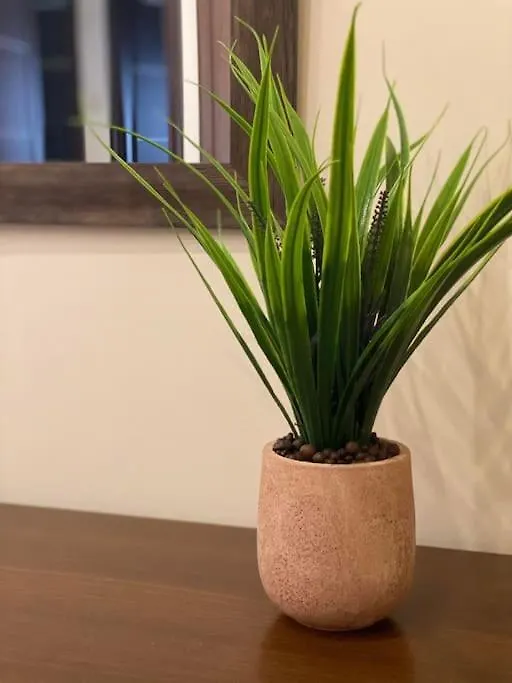 Central Garden Boutique Салоники 0*,