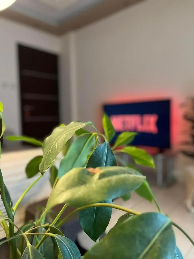 Central Garden Boutique Салоники Апартаменты